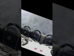 New Fashionable Sheepskin Style Caviar Wealth Bag, Versatile Diamond-shaped Chain Crossbody Small Sq