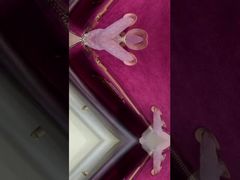 Spring Camellia Chain Bag, Single-shoulder Coach Single-shoulder Bag, Crossbody, Versatile New Style