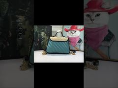 Retro Gucci Chain Bag Luxury Style