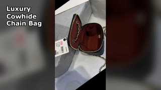 Chanel Small Square Bag Luxury Cowhide Chain Bag