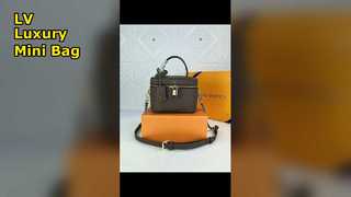 LV Classic Mini Bag Luxury Style